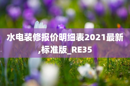 水电装修报价明细表2021最新,标准版_RE35