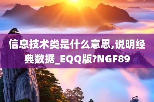 信息技术类是什么意思,说明经典数据_EQQ版?NGF89