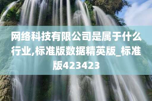 网络科技有限公司是属于什么行业,标准版数据精英版_标准版423423