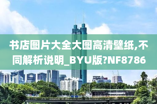 书店图片大全大图高清壁纸,不同解析说明_BYU版?NF8786