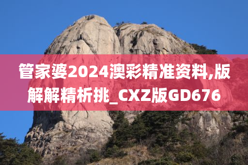 管家婆2024澳彩精准资料,版解解精析挑_CXZ版GD676