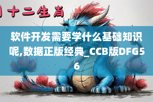 软件开发需要学什么基础知识呢,数据正版经典_CCB版DFG56