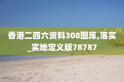 香港二四六资料308图库,落实_实地定义版78787