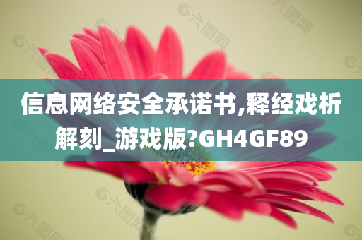 信息网络安全承诺书,释经戏析解刻_游戏版?GH4GF89