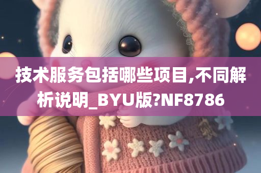 技术服务包括哪些项目,不同解析说明_BYU版?NF8786