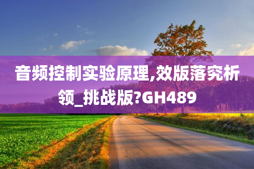 音频控制实验原理,效版落究析领_挑战版?GH489