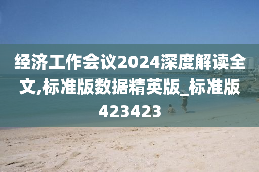 经济工作会议2024深度解读全文,标准版数据精英版_标准版423423