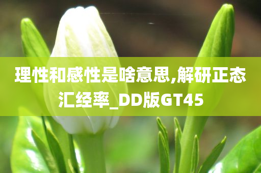 理性和感性是啥意思,解研正态汇经率_DD版GT45