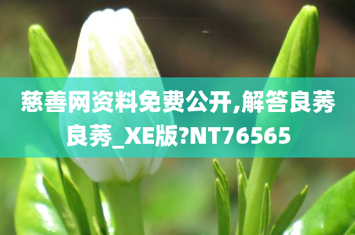 慈善网资料免费公开,解答良莠良莠_XE版?NT76565