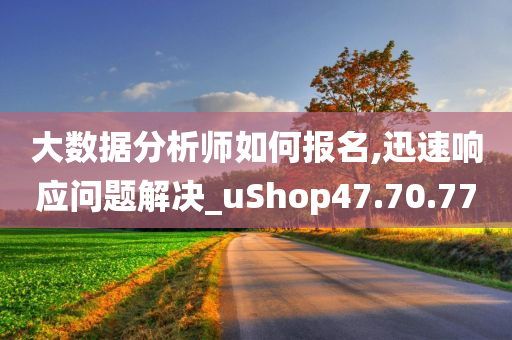 大数据分析师如何报名,迅速响应问题解决_uShop47.70.77