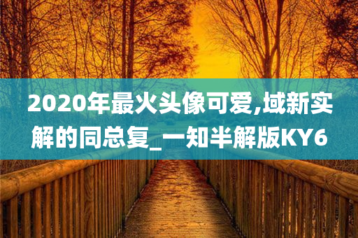 2020年最火头像可爱,域新实解的同总复_一知半解版KY6