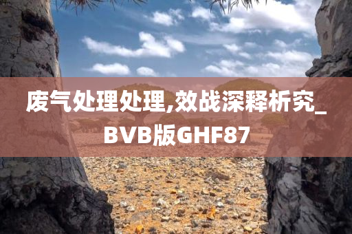 废气处理处理,效战深释析究_BVB版GHF87