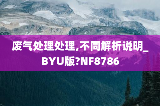 废气处理处理,不同解析说明_BYU版?NF8786