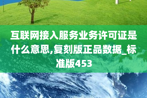 互联网接入服务业务许可证是什么意思,复刻版正品数据_标准版453