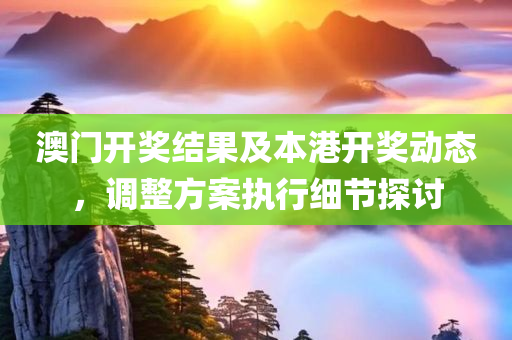 澳门开奖结果及本港开奖动态，调整方案执行细节探讨