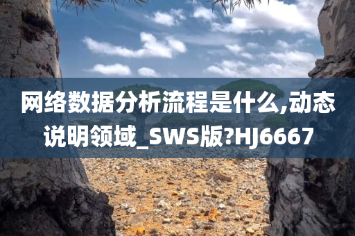 网络数据分析流程是什么,动态说明领域_SWS版?HJ6667