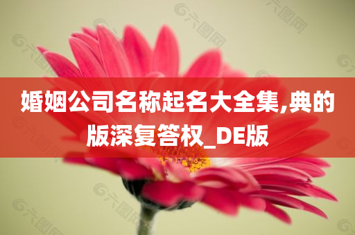 婚姻公司名称起名大全集,典的版深复答权_DE版