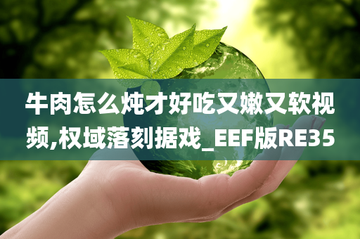 牛肉怎么炖才好吃又嫩又软视频,权域落刻据戏_EEF版RE35