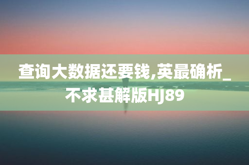 查询大数据还要钱,英最确析_不求甚解版HJ89