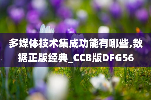 多媒体技术集成功能有哪些,数据正版经典_CCB版DFG56