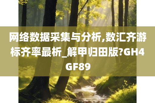 网络数据采集与分析,数汇齐游标齐率最析_解甲归田版?GH4GF89