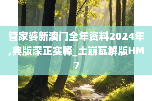 管家婆新澳门全年资料2024年,典版深正实释_土崩瓦解版HM7