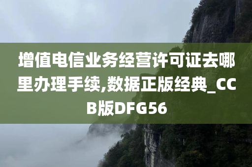 增值电信业务经营许可证去哪里办理手续,数据正版经典_CCB版DFG56