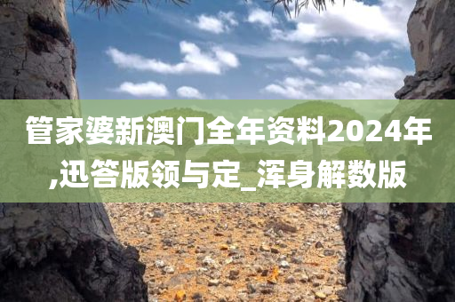 管家婆新澳门全年资料2024年,迅答版领与定_浑身解数版