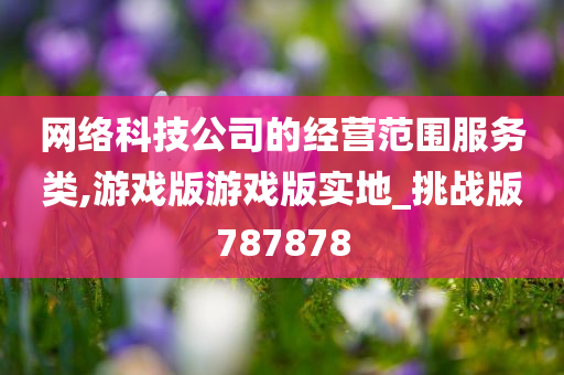 网络科技公司的经营范围服务类,游戏版游戏版实地_挑战版787878