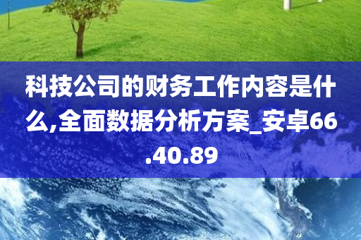 科技公司的财务工作内容是什么,全面数据分析方案_安卓66.40.89