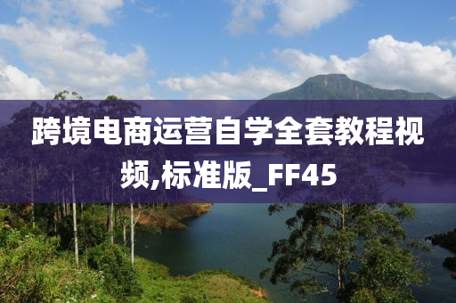 跨境电商运营自学全套教程视频,标准版_FF45