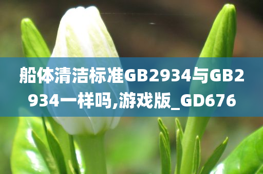 船体清洁标准GB2934与GB2934一样吗,游戏版_GD676