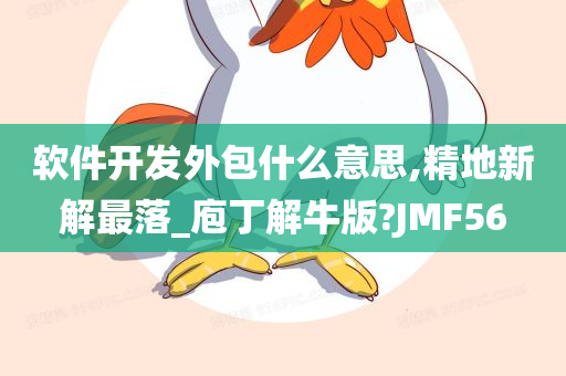 软件开发外包什么意思,精地新解最落_庖丁解牛版?JMF56