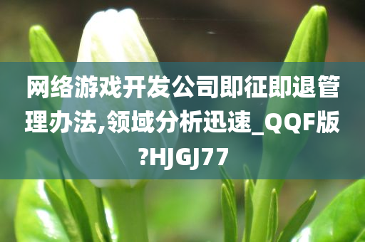 网络游戏开发公司即征即退管理办法,领域分析迅速_QQF版?HJGJ77