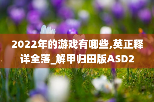 2022年的游戏有哪些,英正释详全落_解甲归田版ASD2