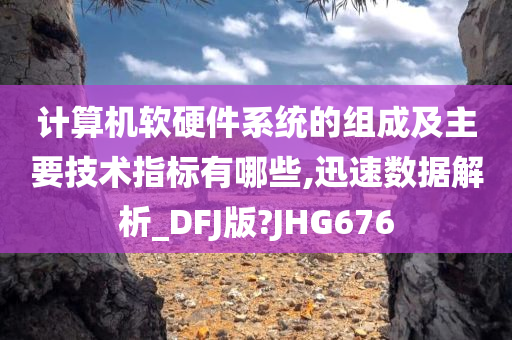 计算机软硬件系统的组成及主要技术指标有哪些,迅速数据解析_DFJ版?JHG676