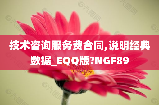 技术咨询服务费合同,说明经典数据_EQQ版?NGF89