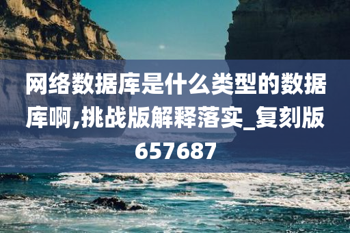 网络数据库是什么类型的数据库啊,挑战版解释落实_复刻版657687