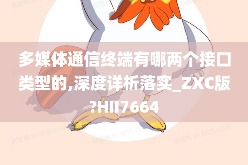 多媒体通信终端有哪两个接口类型的,深度详析落实_ZXC版?HII7664