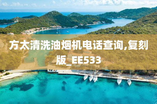 方太清洗油烟机电话查询,复刻版_EE533