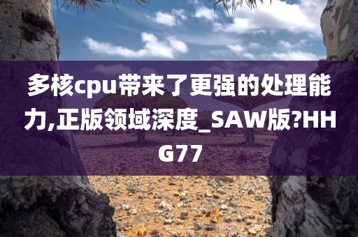 多核cpu带来了更强的处理能力,正版领域深度_SAW版?HHG77