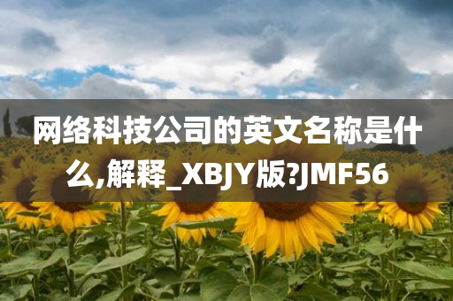 网络科技公司的英文名称是什么,解释_XBJY版?JMF56