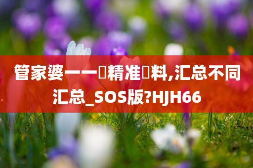 管家婆一一碼精准資料,汇总不同汇总_SOS版?HJH66