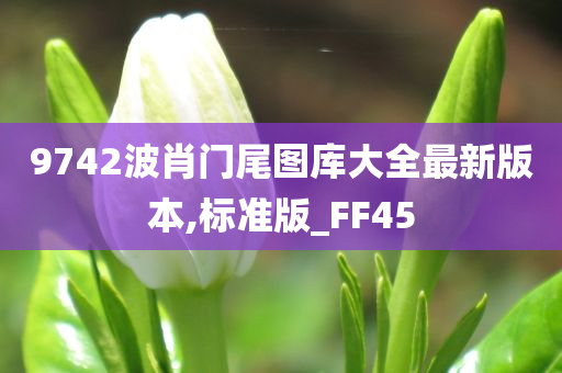 9742波肖门尾图库大全最新版本,标准版_FF45