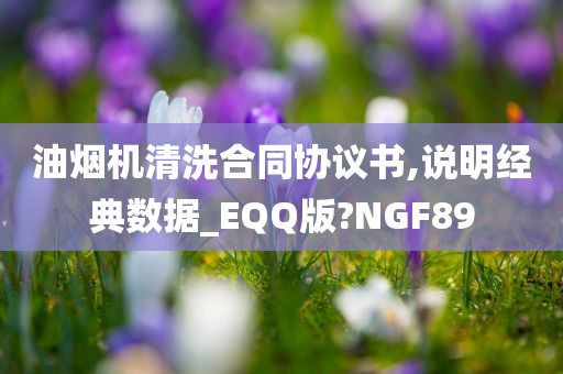 油烟机清洗合同协议书,说明经典数据_EQQ版?NGF89