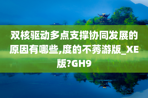 双核驱动多点支撑协同发展的原因有哪些,度的不莠游版_XE版?GH9