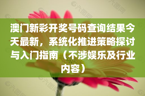 澳门新彩开奖号码查询结果今天最新，系统化推进策略探讨与入门指南（不涉娱乐及行业内容）