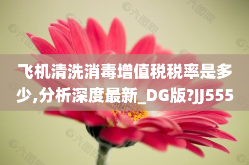 飞机清洗消毒增值税税率是多少,分析深度最新_DG版?JJ555