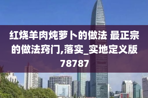 红烧羊肉炖萝卜的做法 最正宗的做法窍门,落实_实地定义版78787