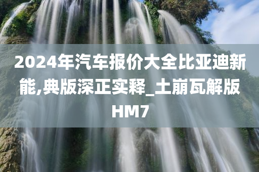 2024年汽车报价大全比亚迪新能,典版深正实释_土崩瓦解版HM7